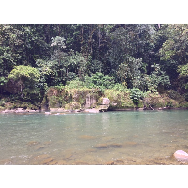 Picture Costa Rica Pacuare River 2015-03 4 - Around Pacuare River