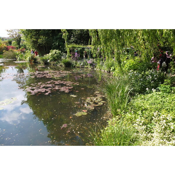 Picture France Giverny 2013-06 113 - Around Giverny