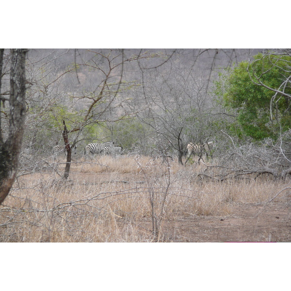 Picture South Africa Kruger National Park Mpondo 2008-09 3 - Recreation Mpondo