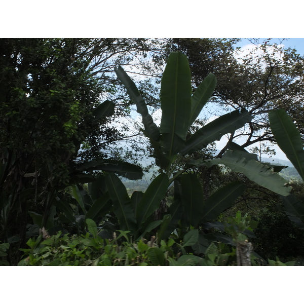 Picture Costa Rica Turrialba 2015-03 83 - Tours Turrialba