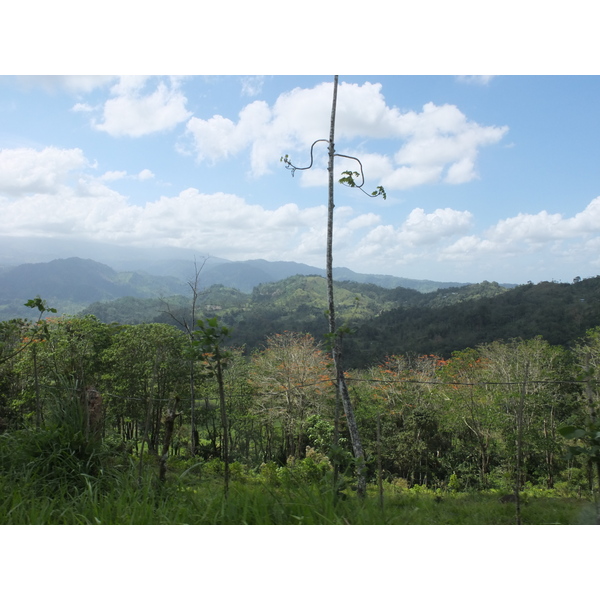 Picture Costa Rica Turrialba 2015-03 86 - Journey Turrialba