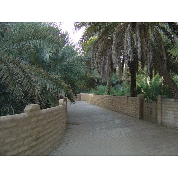 Picture United Arab Emirates Al Ain Al Ain Oasis 2005-03 3 - Tour Al Ain Oasis