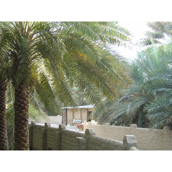 Picture United Arab Emirates Al Ain Al Ain Oasis 2005-03 5 - Recreation Al Ain Oasis