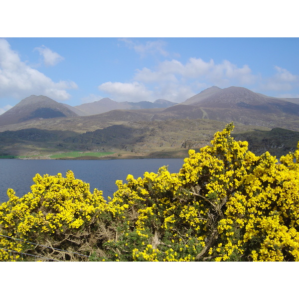 Picture Ireland Kerry Caragh Lake 2004-05 35 - History Caragh Lake