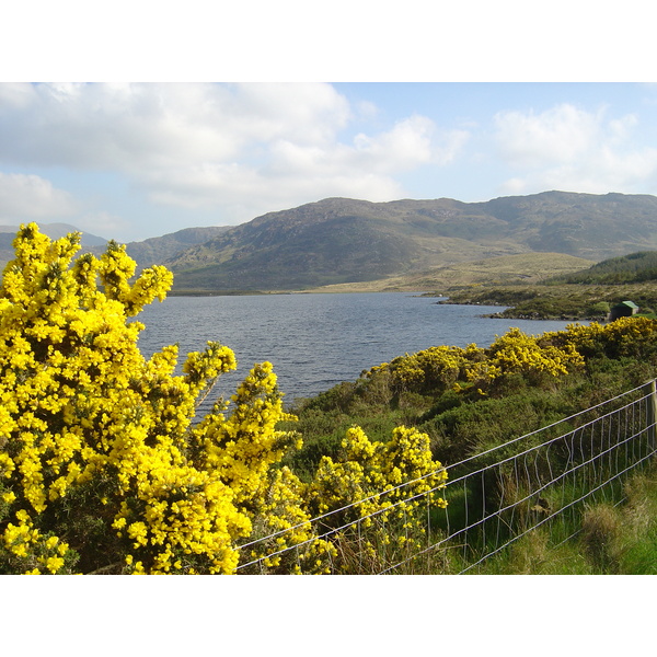 Picture Ireland Kerry Caragh Lake 2004-05 37 - Discovery Caragh Lake