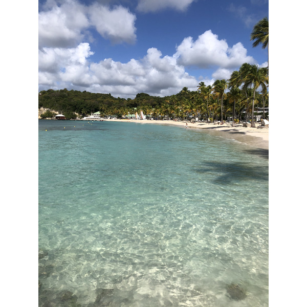 Picture Guadeloupe La Caravelle Beach 2021-02 3 - Tour La Caravelle Beach