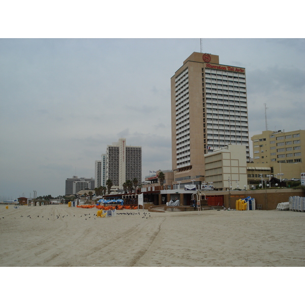 Picture Israel Tel Aviv Tel Aviv Sea Shore 2006-12 49 - Discovery Tel Aviv Sea Shore