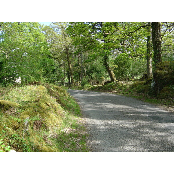 Picture Ireland Kerry Caragh Lake 2004-05 32 - Journey Caragh Lake