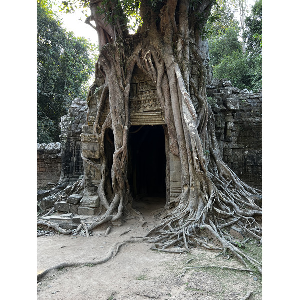 Picture Cambodia Siem Reap Ta Som 2023-01 20 - Center Ta Som