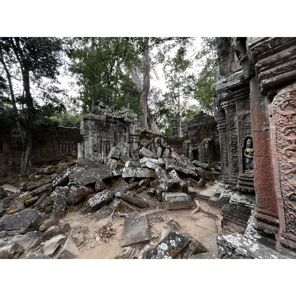 Picture Cambodia Siem Reap Ta Prohm 2023-01 110 - History Ta Prohm