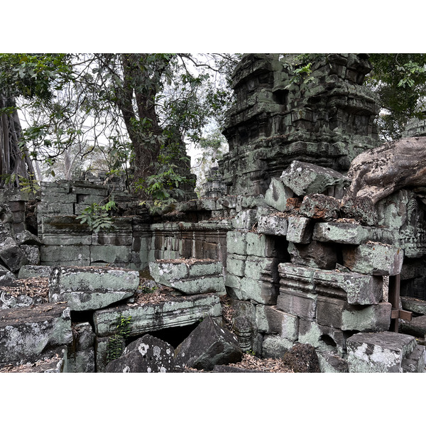 Picture Cambodia Siem Reap Ta Prohm 2023-01 150 - Recreation Ta Prohm