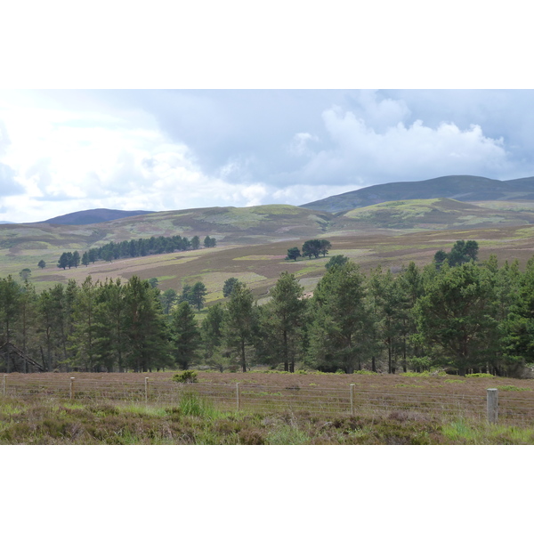 Picture United Kingdom Cairngorms National Park 2011-07 7 - Tour Cairngorms National Park