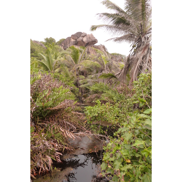 Picture Seychelles La Digue 2011-10 222 - Tours La Digue