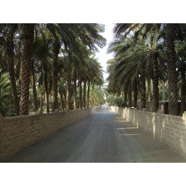 Picture United Arab Emirates Al Ain Al Ain Oasis 2005-03 1 - Tours Al Ain Oasis