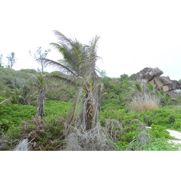 Picture Seychelles La Digue 2011-10 214 - Journey La Digue