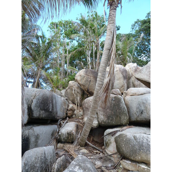 Picture Seychelles Coco Island 2011-10 6 - Tour Coco Island