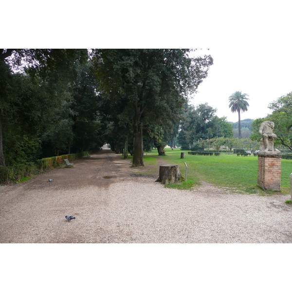 Picture Italy Rome Villa Doria Pamphili 2007-11 60 - Journey Villa Doria Pamphili