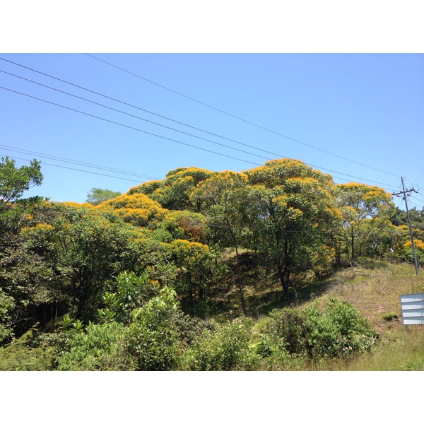 Picture Costa Rica Pacific Border 2015-03 0 - Journey Pacific Border