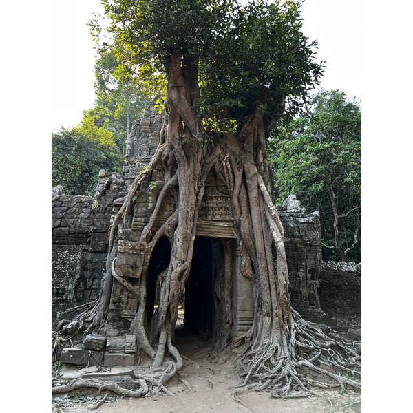 Picture Cambodia Siem Reap Ta Som 2023-01 36 - Discovery Ta Som