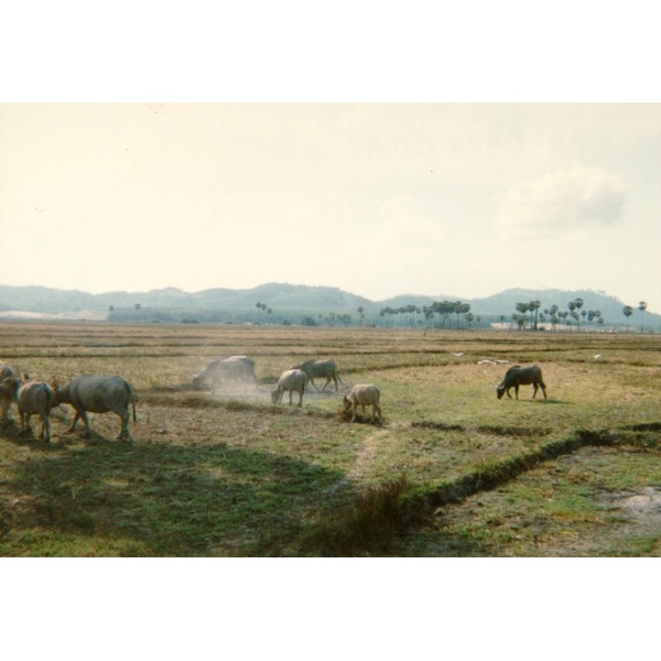 Picture Thailand Phuket 1989-04 29 - Recreation Phuket