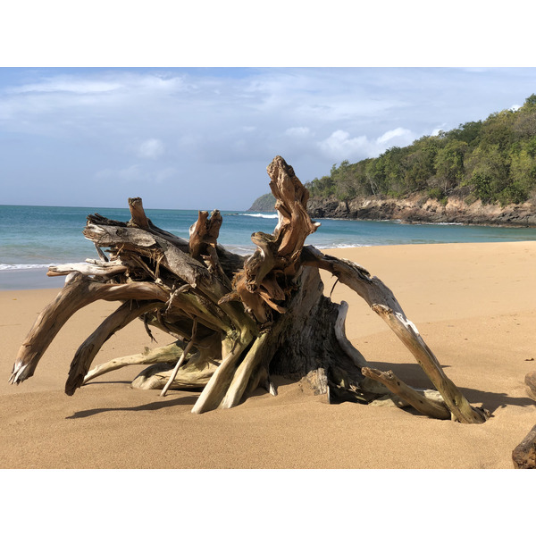 Picture Guadeloupe La Perle Beach 2021-02 109 - Tour La Perle Beach