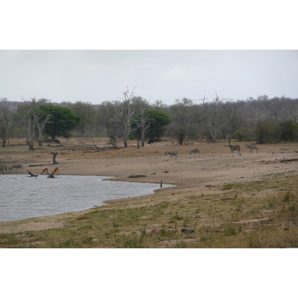 Picture South Africa Kruger National Park Mpondo 2008-09 42 - Center Mpondo