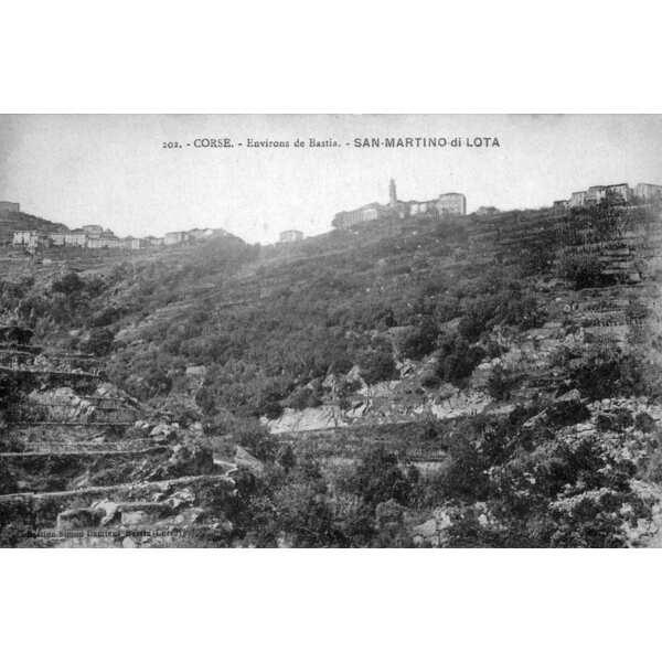 Picture France Corsica Old Postcards 1900-01 276 - Around Old Postcards