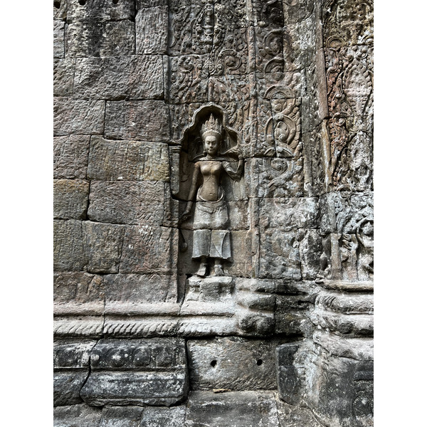 Picture Cambodia Siem Reap Ta Prohm 2023-01 71 - Journey Ta Prohm