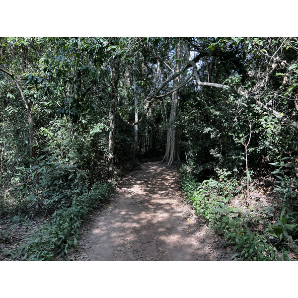 Picture Cambodia Siem Reap Ta Prohm 2023-01 139 - Tours Ta Prohm