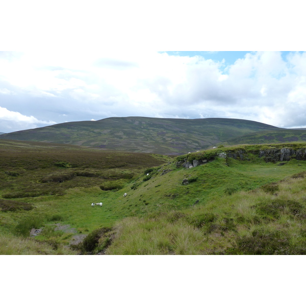 Picture United Kingdom Cairngorms National Park 2011-07 141 - Tour Cairngorms National Park