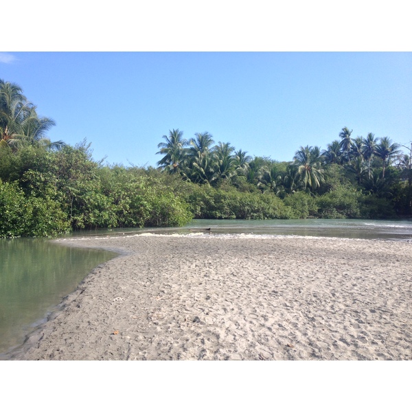 Picture Costa Rica Manuel Antonio 2015-03 287 - Center Manuel Antonio