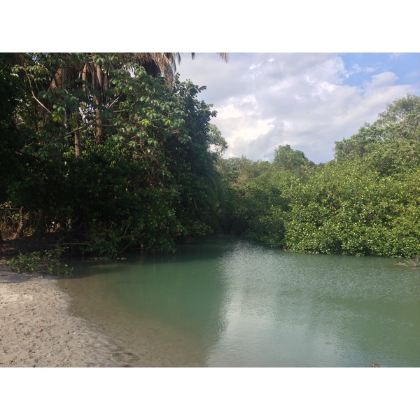 Picture Costa Rica Manuel Antonio 2015-03 394 - Discovery Manuel Antonio