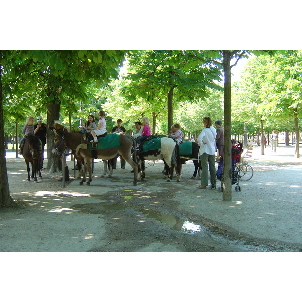 Picture France Paris Garden of Tuileries 2007-05 357 - Journey Garden of Tuileries