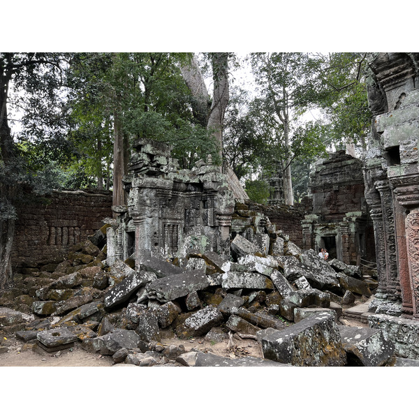 Picture Cambodia Siem Reap Ta Prohm 2023-01 56 - History Ta Prohm