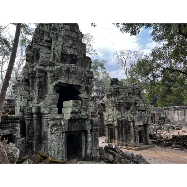 Picture Cambodia Siem Reap Ta Prohm 2023-01 55 - Recreation Ta Prohm