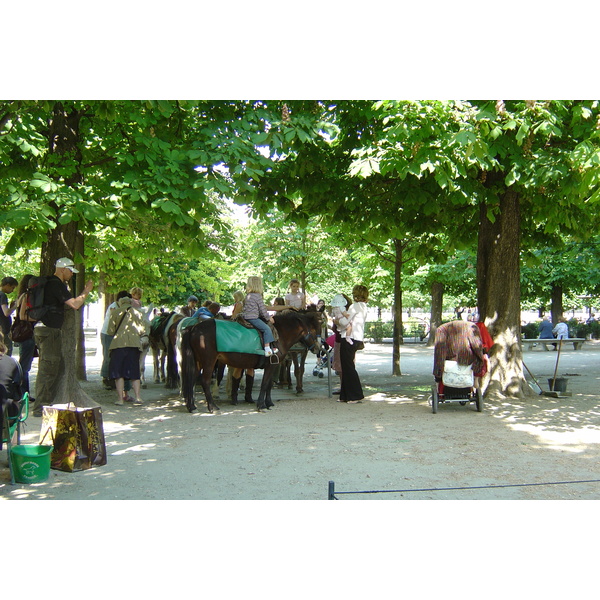 Picture France Paris Garden of Tuileries 2007-05 6 - Tour Garden of Tuileries