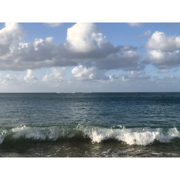 Picture Guadeloupe La Perle Beach 2021-02 114 - Tours La Perle Beach