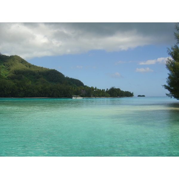 Picture Polynesia Moorea 2006-04 5 - Tours Moorea