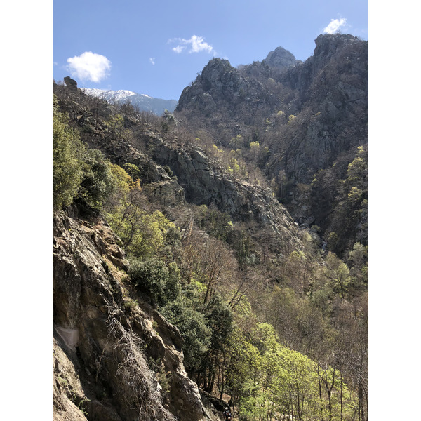 Picture France Abbaye Saint Martin du Canigou 2018-04 16 - Around Abbaye Saint Martin du Canigou