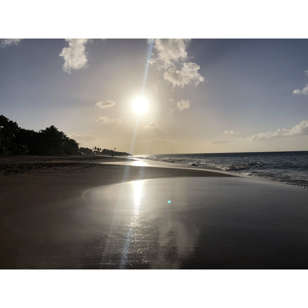 Picture Guadeloupe La Perle Beach 2021-02 115 - Discovery La Perle Beach