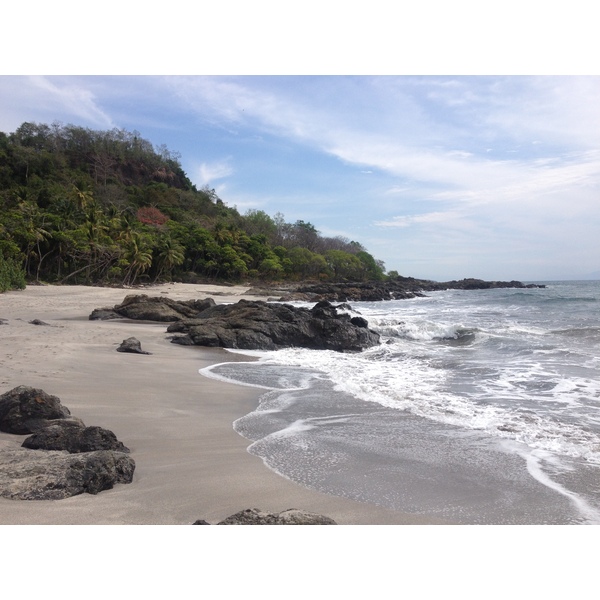 Picture Costa Rica Montezuma 2015-03 594 - Tours Montezuma