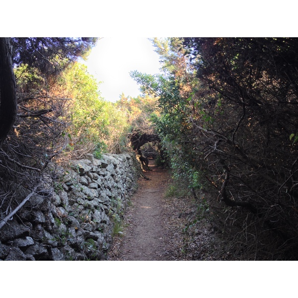 Picture Italy Sardinia Portobello di Gallura 2015-06 11 - Center Portobello di Gallura