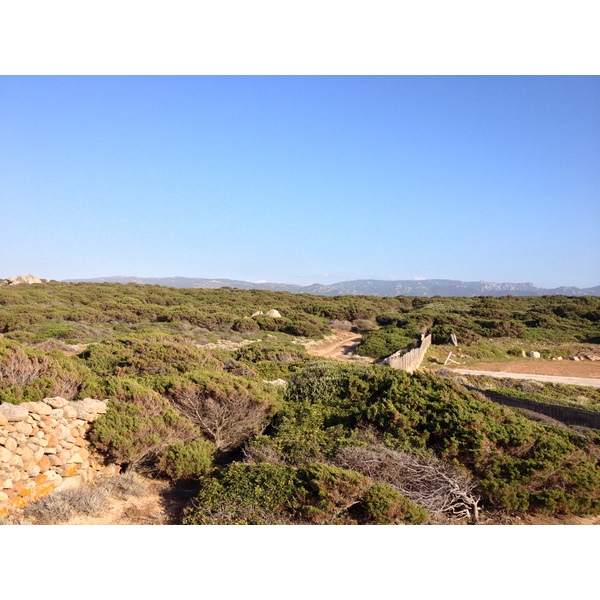 Picture Italy Sardinia Portobello di Gallura 2015-06 9 - Discovery Portobello di Gallura