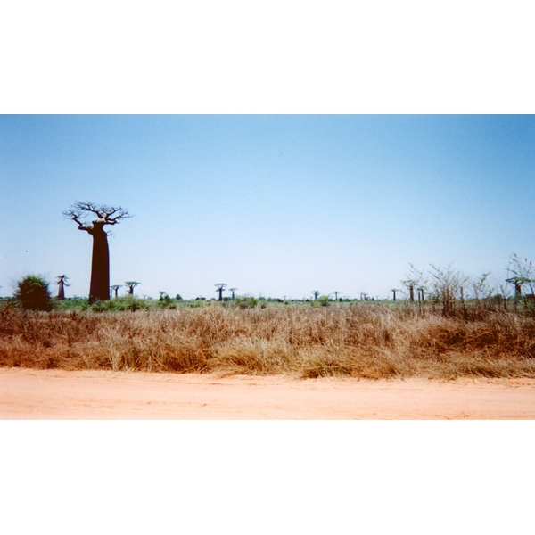 Picture Madagascar Tsingy 1999-10 18 - Tours Tsingy