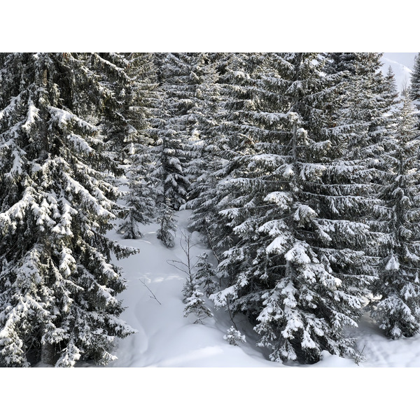 Picture France La Clusaz 2017-12 289 - Discovery La Clusaz