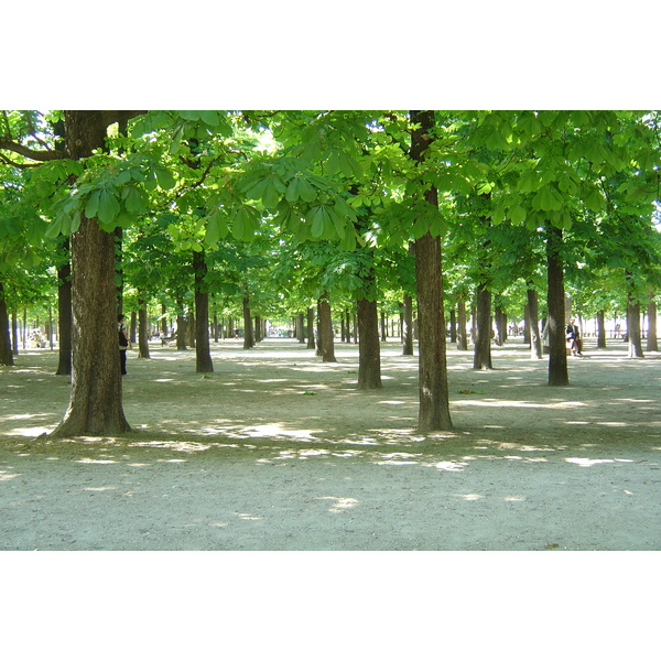 Picture France Paris Garden of Tuileries 2007-05 383 - Center Garden of Tuileries