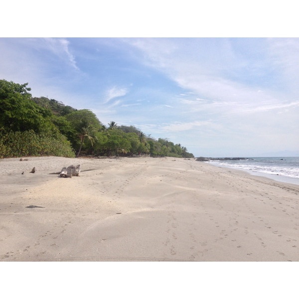 Picture Costa Rica Montezuma 2015-03 109 - Around Montezuma