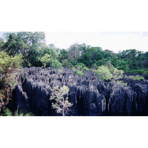 Picture Madagascar Tsingy 1999-10 2 - Tour Tsingy