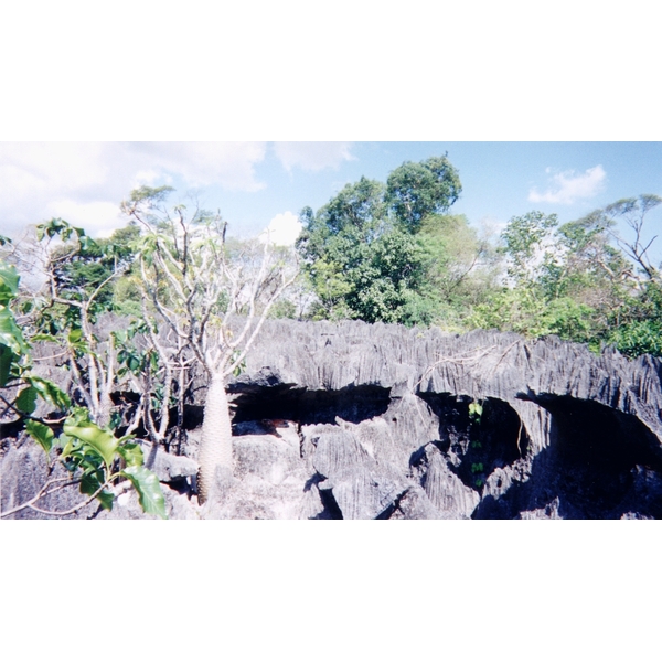 Picture Madagascar Tsingy 1999-10 6 - Discovery Tsingy