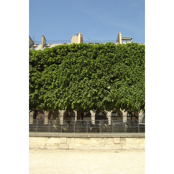 Picture France Paris Garden of Tuileries 2007-05 17 - History Garden of Tuileries